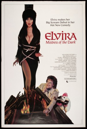 ELVIRA, LA DAMA DE LAS TINIEBLAS